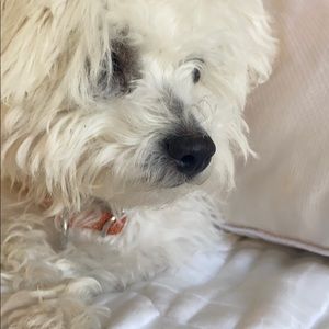 Meet your Posher, Julienne